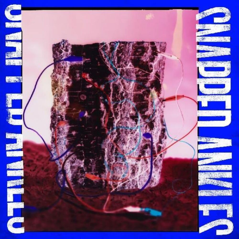 Snapped Ankles - Forest Of Your Problems  CD